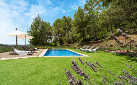 Pool area next pine forest