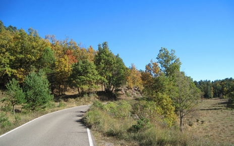 El camino a la propiedad