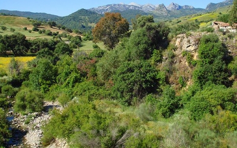 Your holiday location