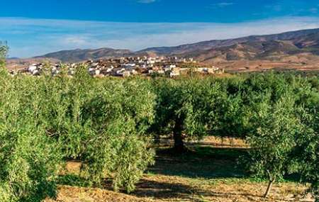 Understanding Andalucia´s Legacy