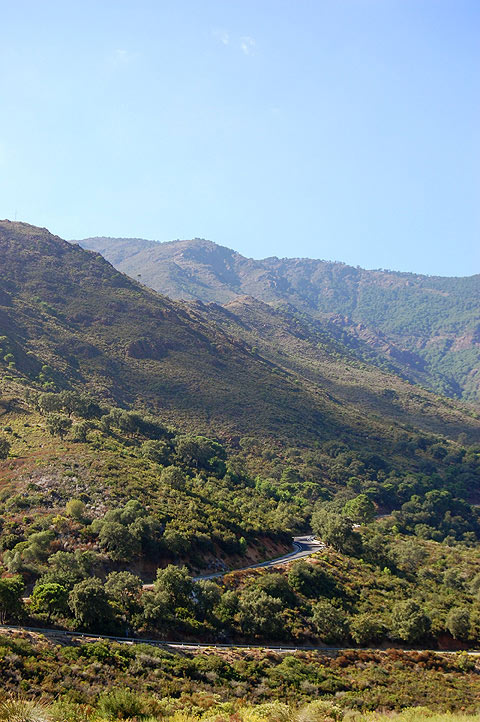 carretera estepona a genalguacil