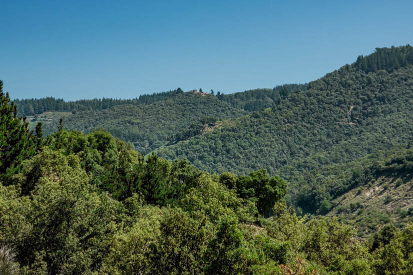 Montseny Natural Park